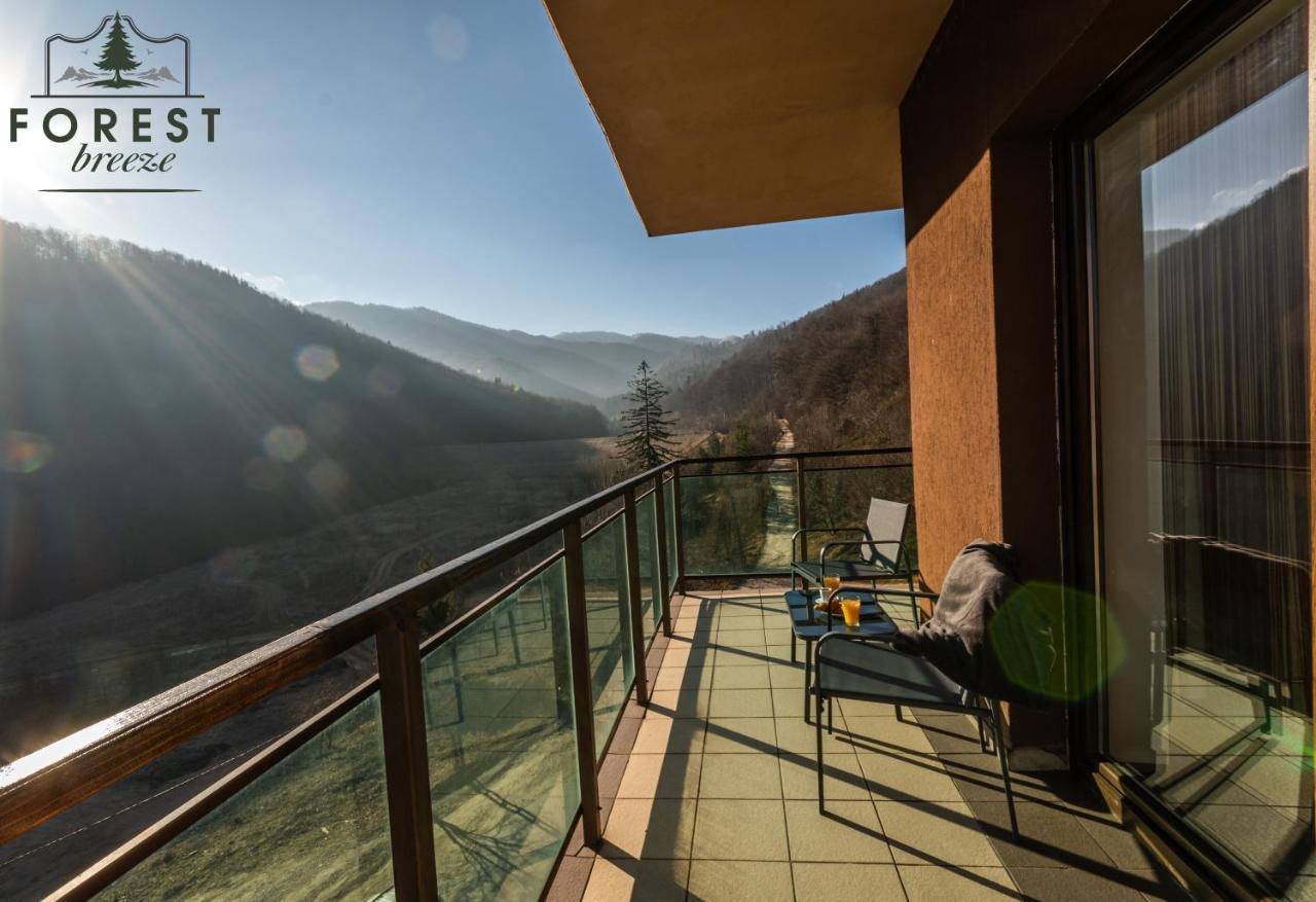 Forest Breeze Apartterrace Braşov Dış mekan fotoğraf