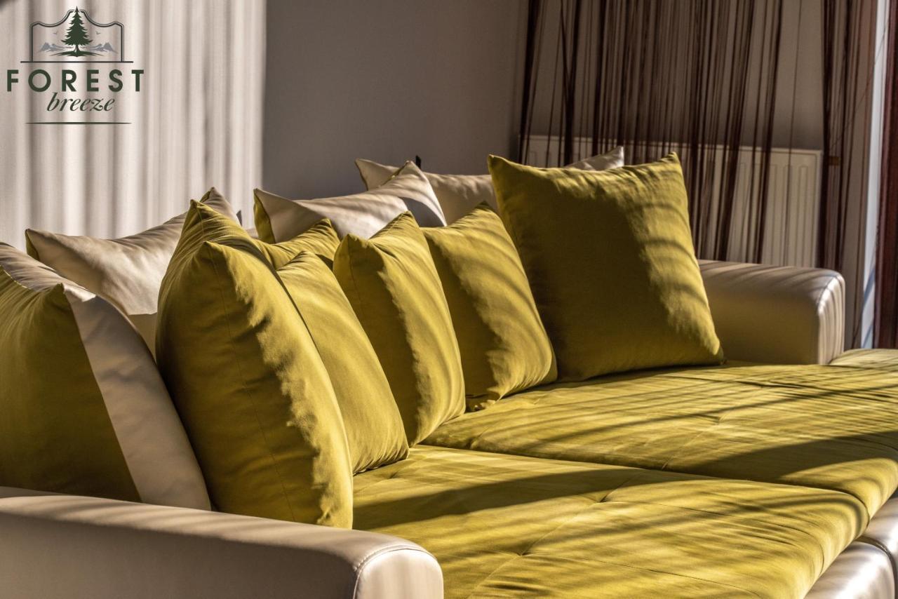 Forest Breeze Apartterrace Braşov Dış mekan fotoğraf
