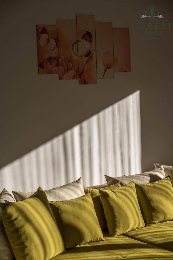 Forest Breeze Apartterrace Braşov Dış mekan fotoğraf