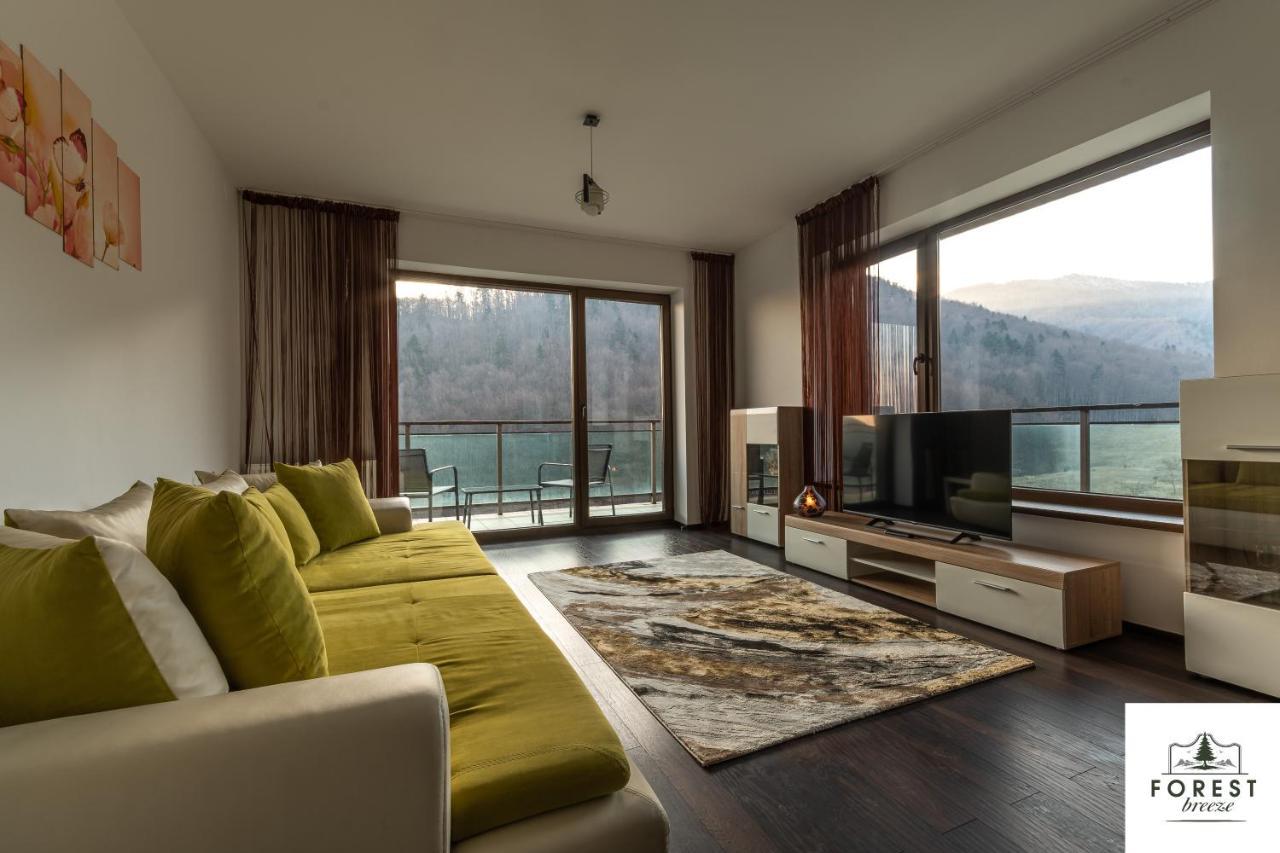 Forest Breeze Apartterrace Braşov Dış mekan fotoğraf