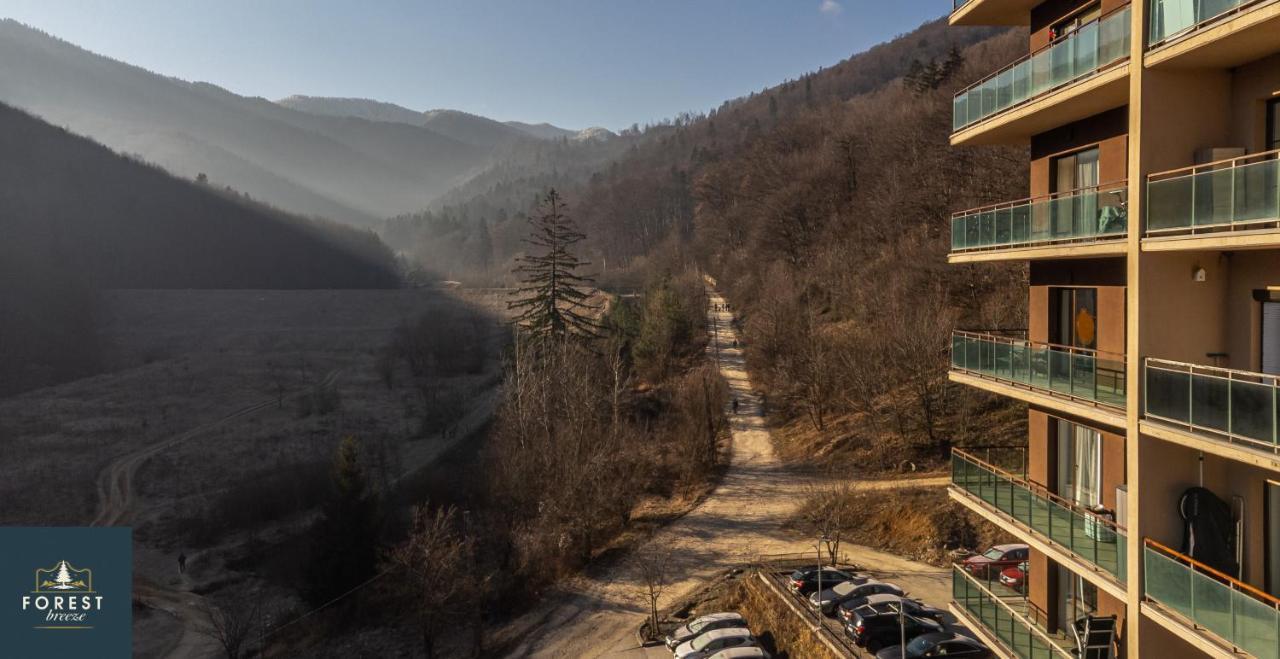 Forest Breeze Apartterrace Braşov Dış mekan fotoğraf