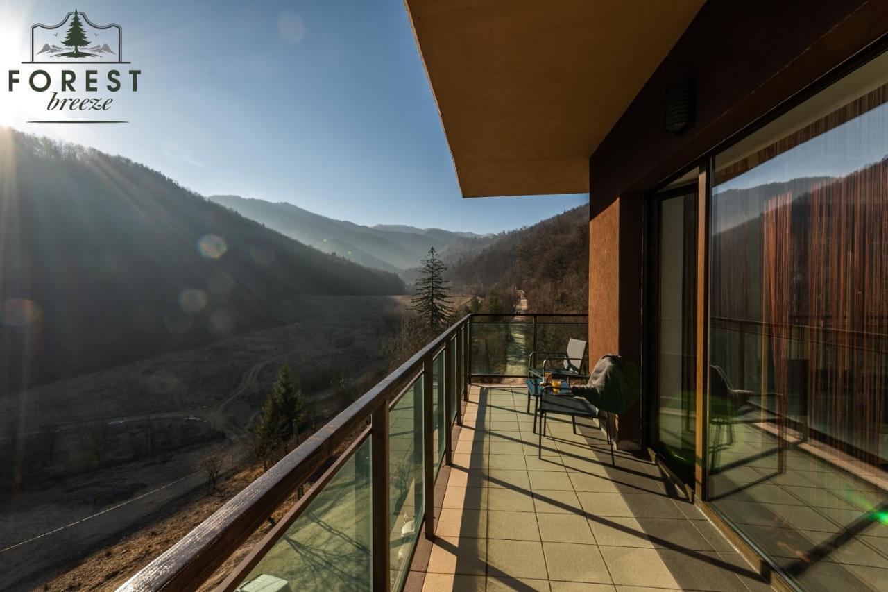 Forest Breeze Apartterrace Braşov Dış mekan fotoğraf