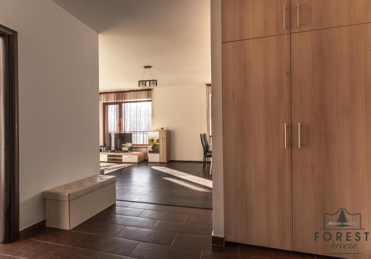 Forest Breeze Apartterrace Braşov Dış mekan fotoğraf