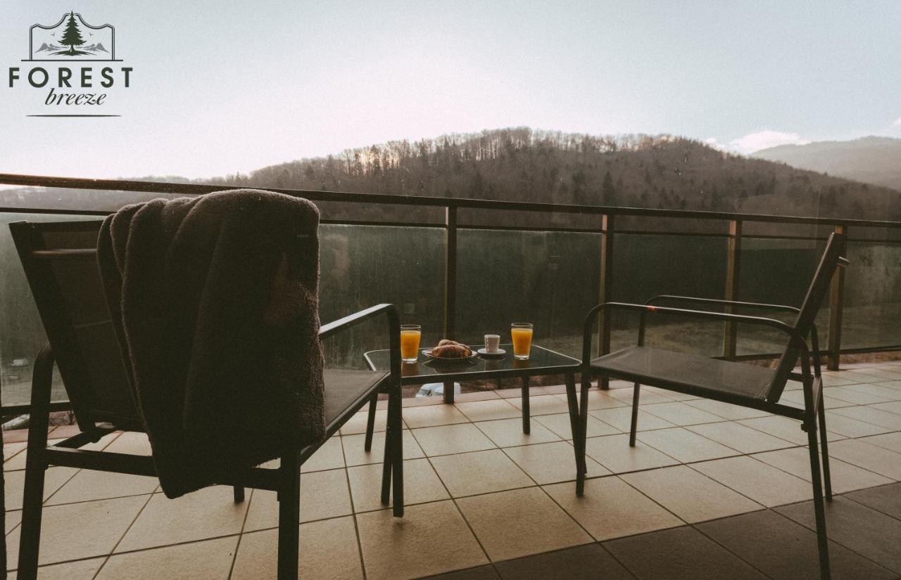 Forest Breeze Apartterrace Braşov Dış mekan fotoğraf