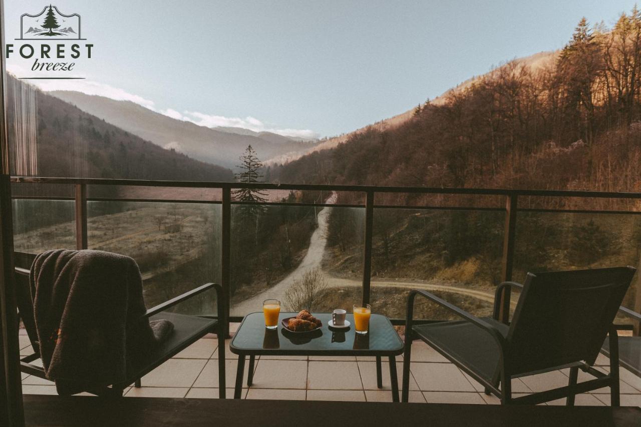 Forest Breeze Apartterrace Braşov Dış mekan fotoğraf