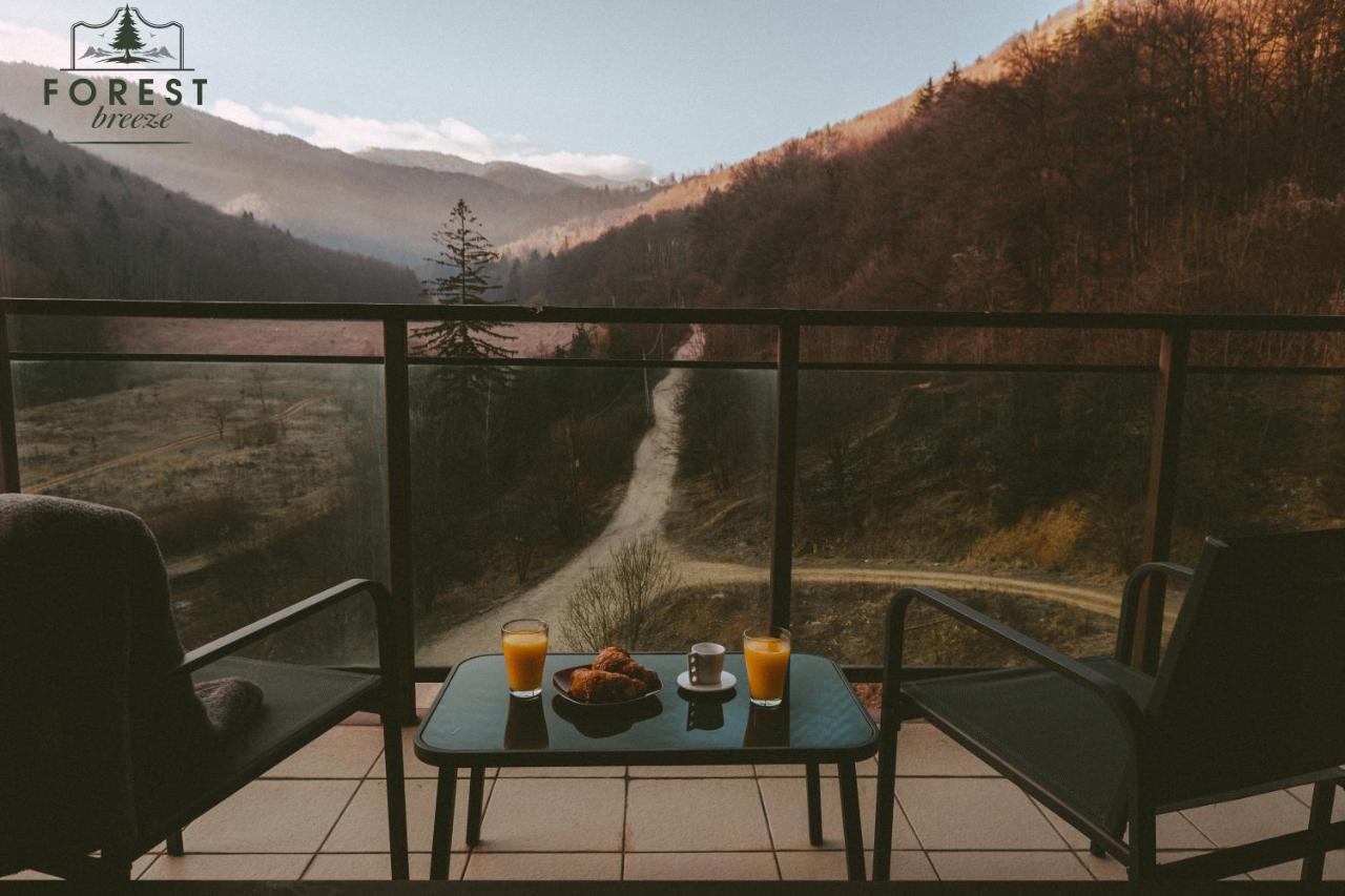 Forest Breeze Apartterrace Braşov Dış mekan fotoğraf