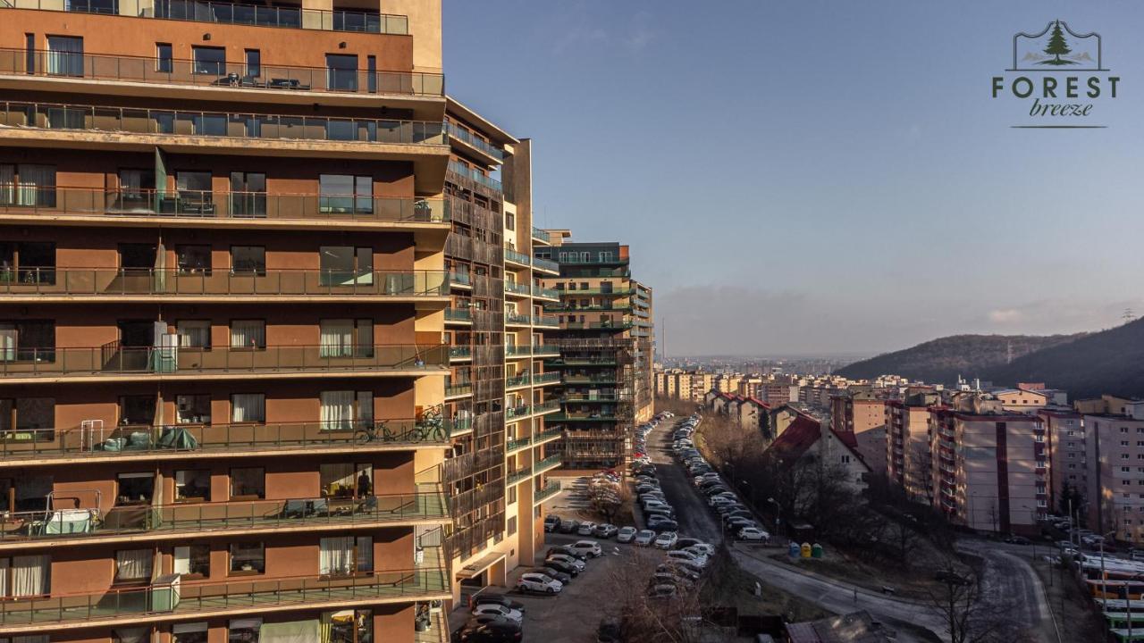 Forest Breeze Apartterrace Braşov Dış mekan fotoğraf