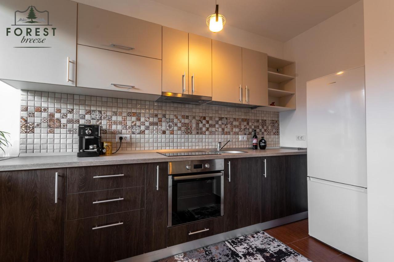 Forest Breeze Apartterrace Braşov Dış mekan fotoğraf