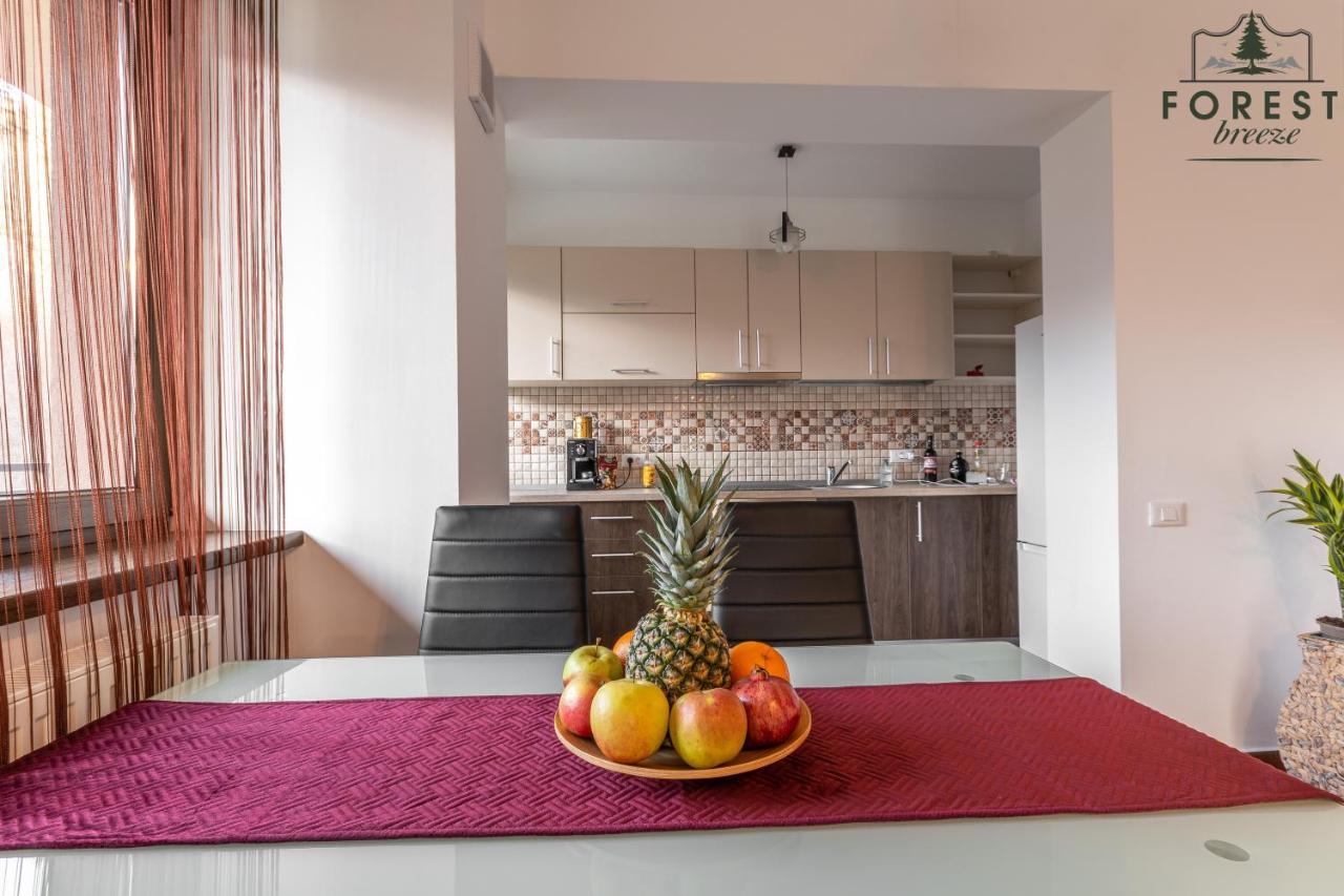 Forest Breeze Apartterrace Braşov Dış mekan fotoğraf