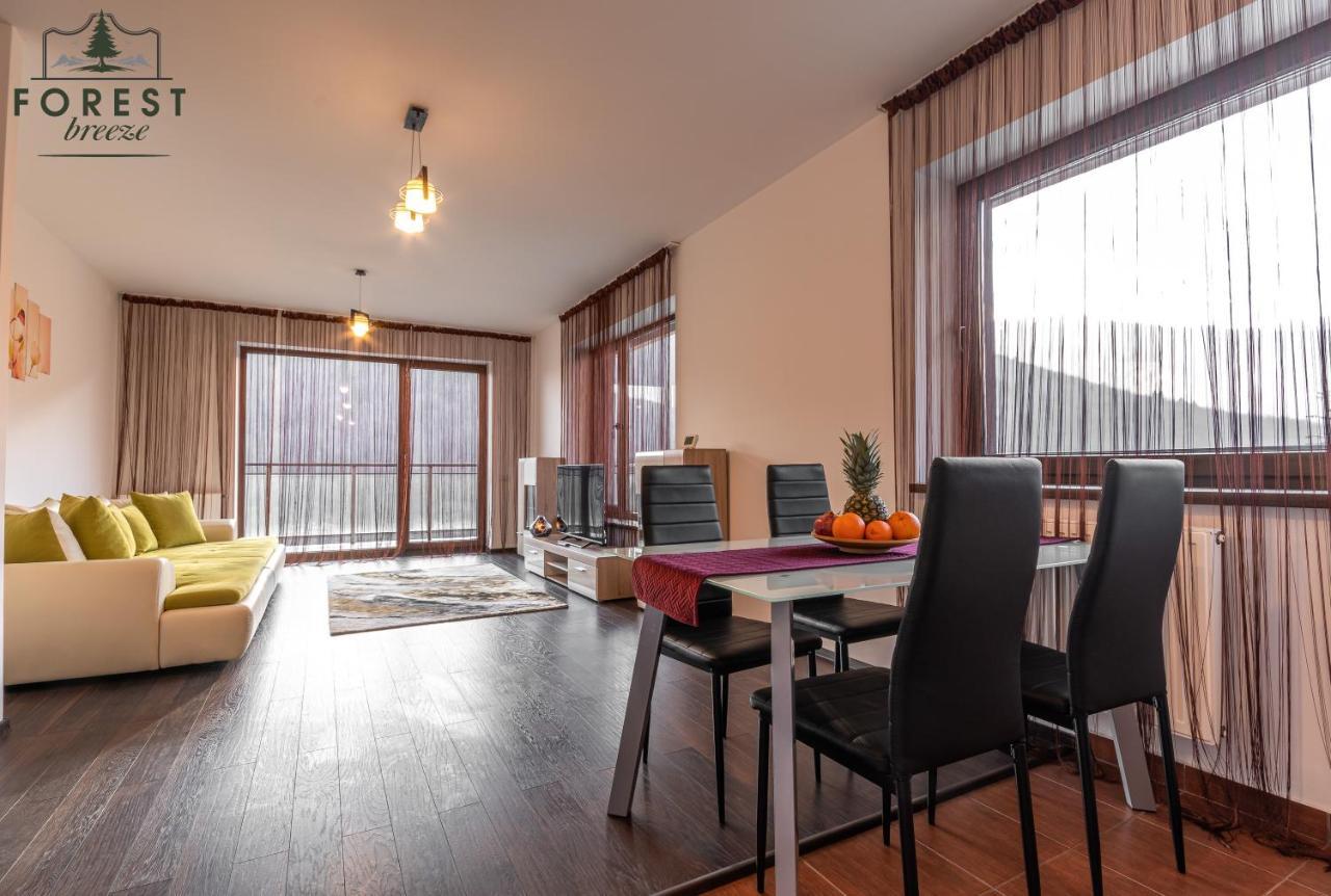 Forest Breeze Apartterrace Braşov Dış mekan fotoğraf