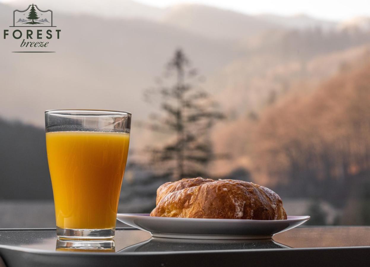 Forest Breeze Apartterrace Braşov Dış mekan fotoğraf