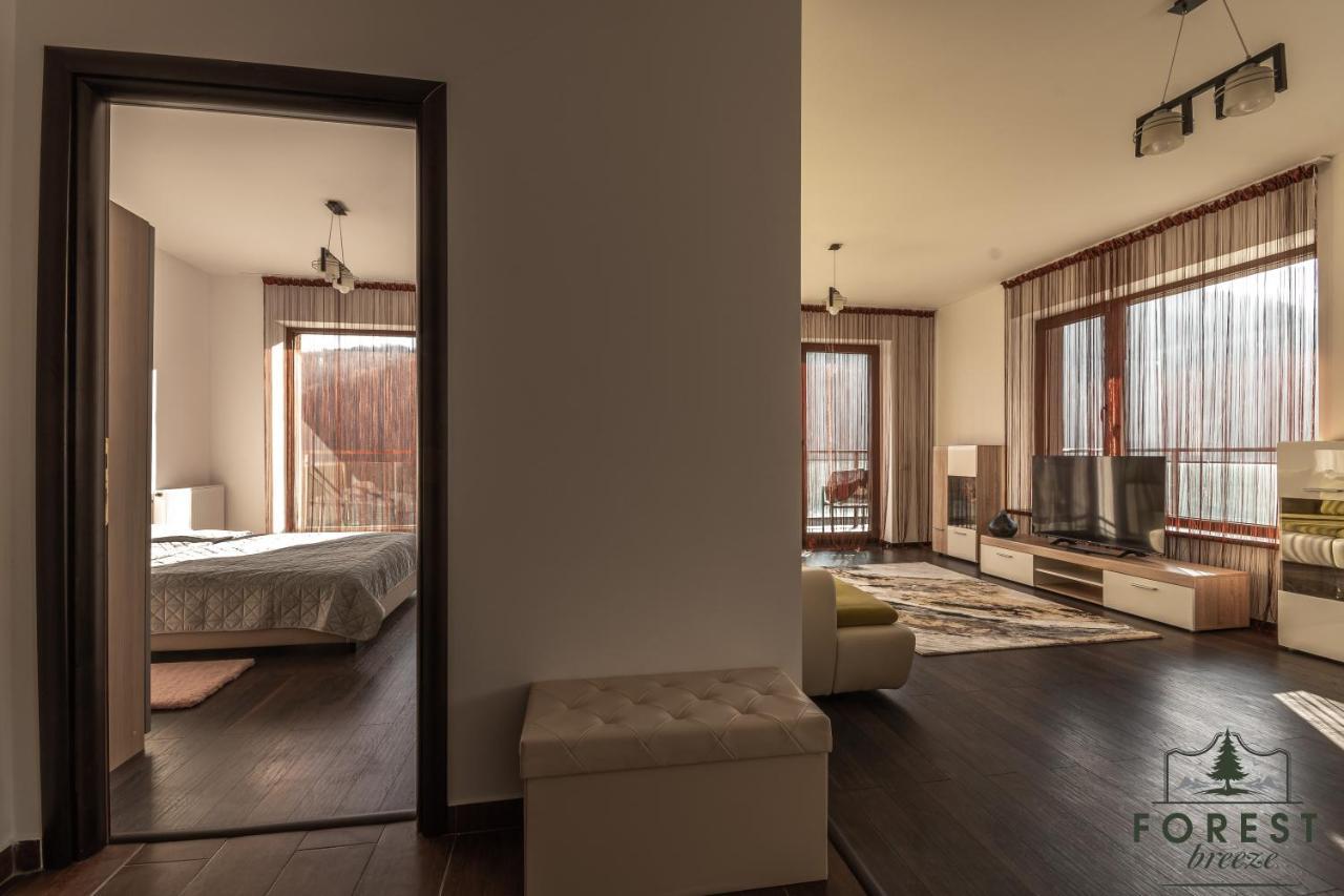 Forest Breeze Apartterrace Braşov Dış mekan fotoğraf