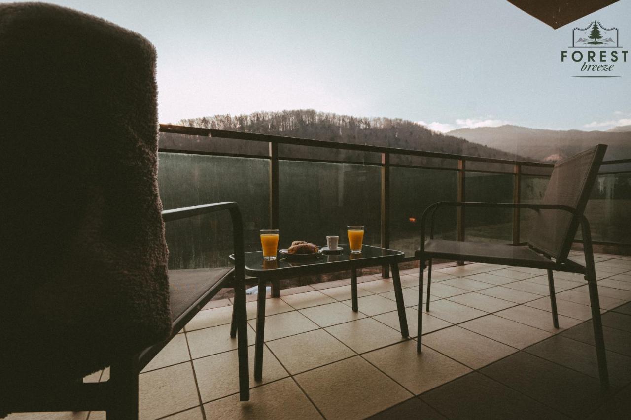 Forest Breeze Apartterrace Braşov Dış mekan fotoğraf