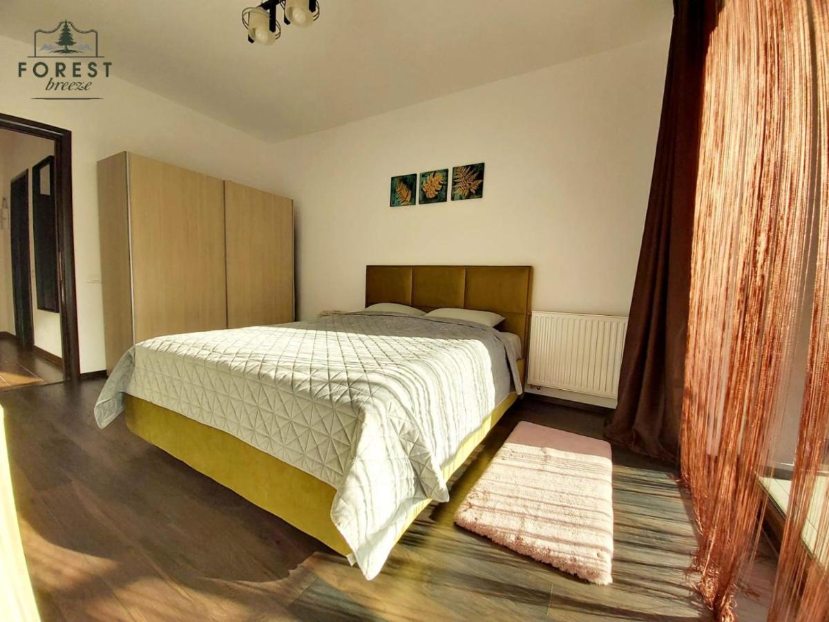 Forest Breeze Apartterrace Braşov Dış mekan fotoğraf