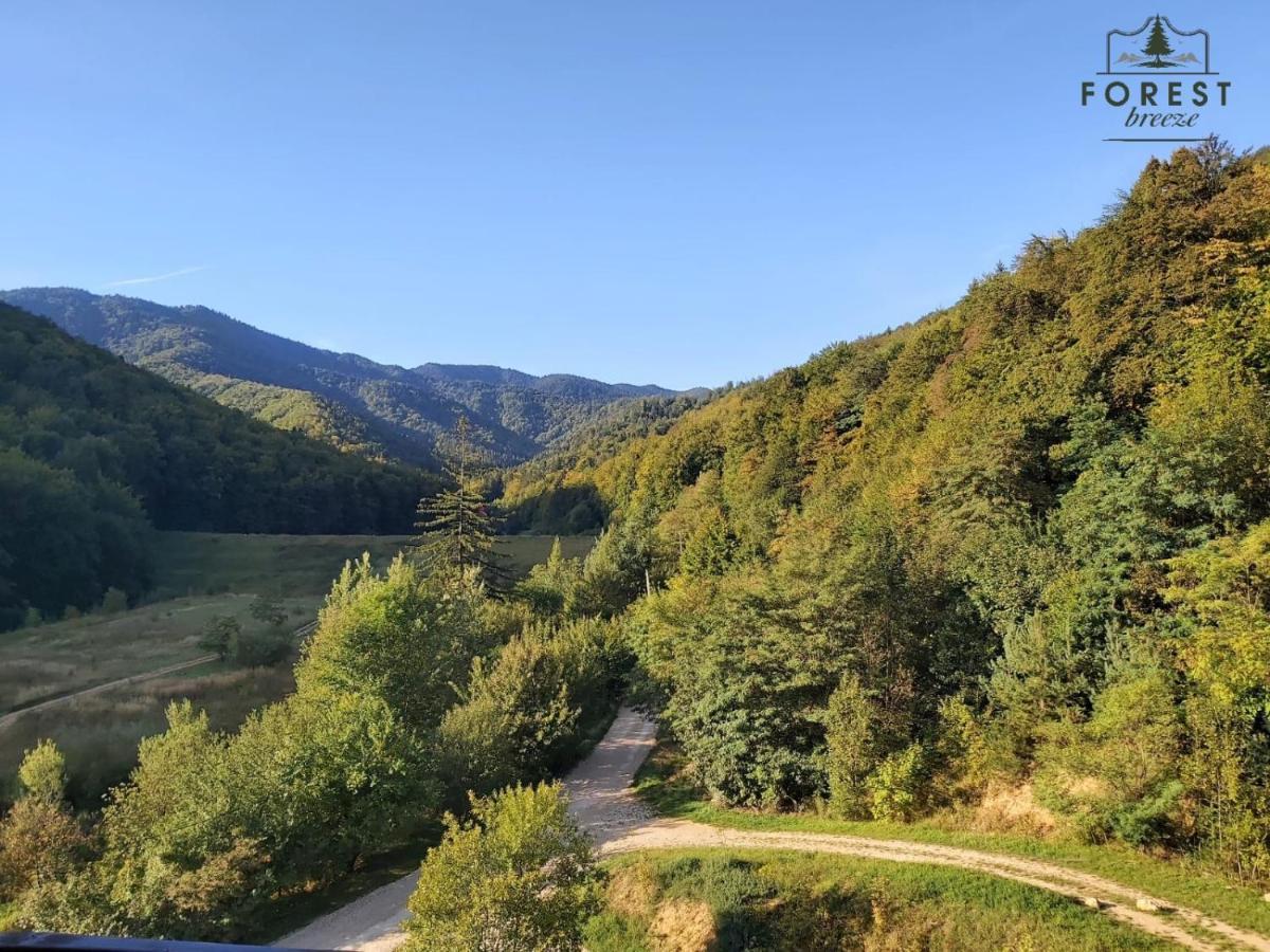 Forest Breeze Apartterrace Braşov Dış mekan fotoğraf
