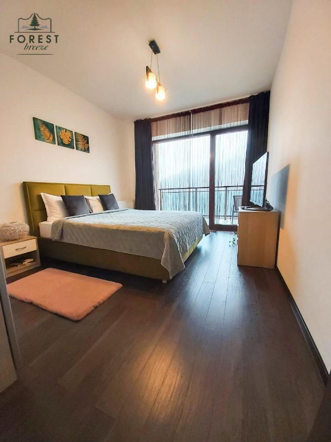 Forest Breeze Apartterrace Braşov Dış mekan fotoğraf