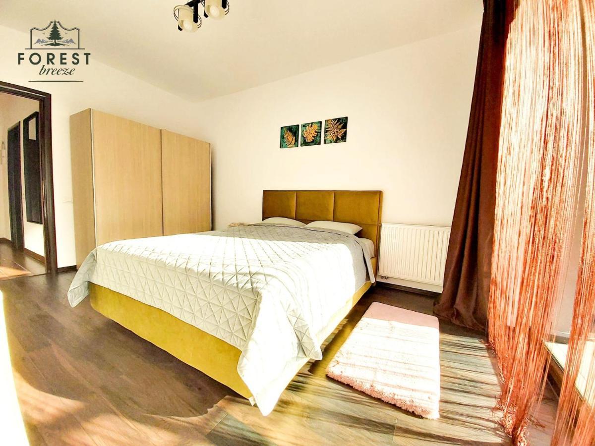 Forest Breeze Apartterrace Braşov Dış mekan fotoğraf