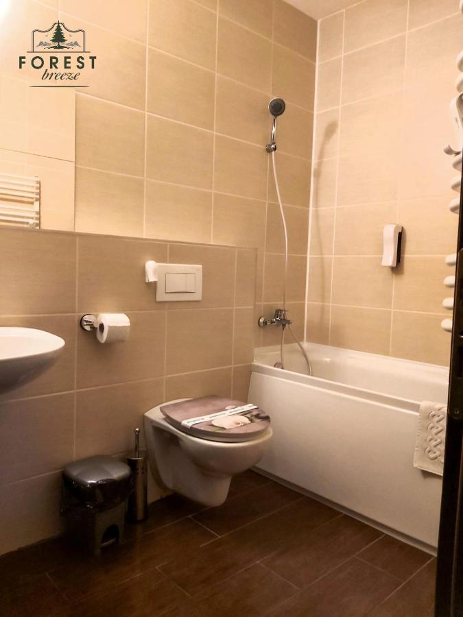 Forest Breeze Apartterrace Braşov Dış mekan fotoğraf