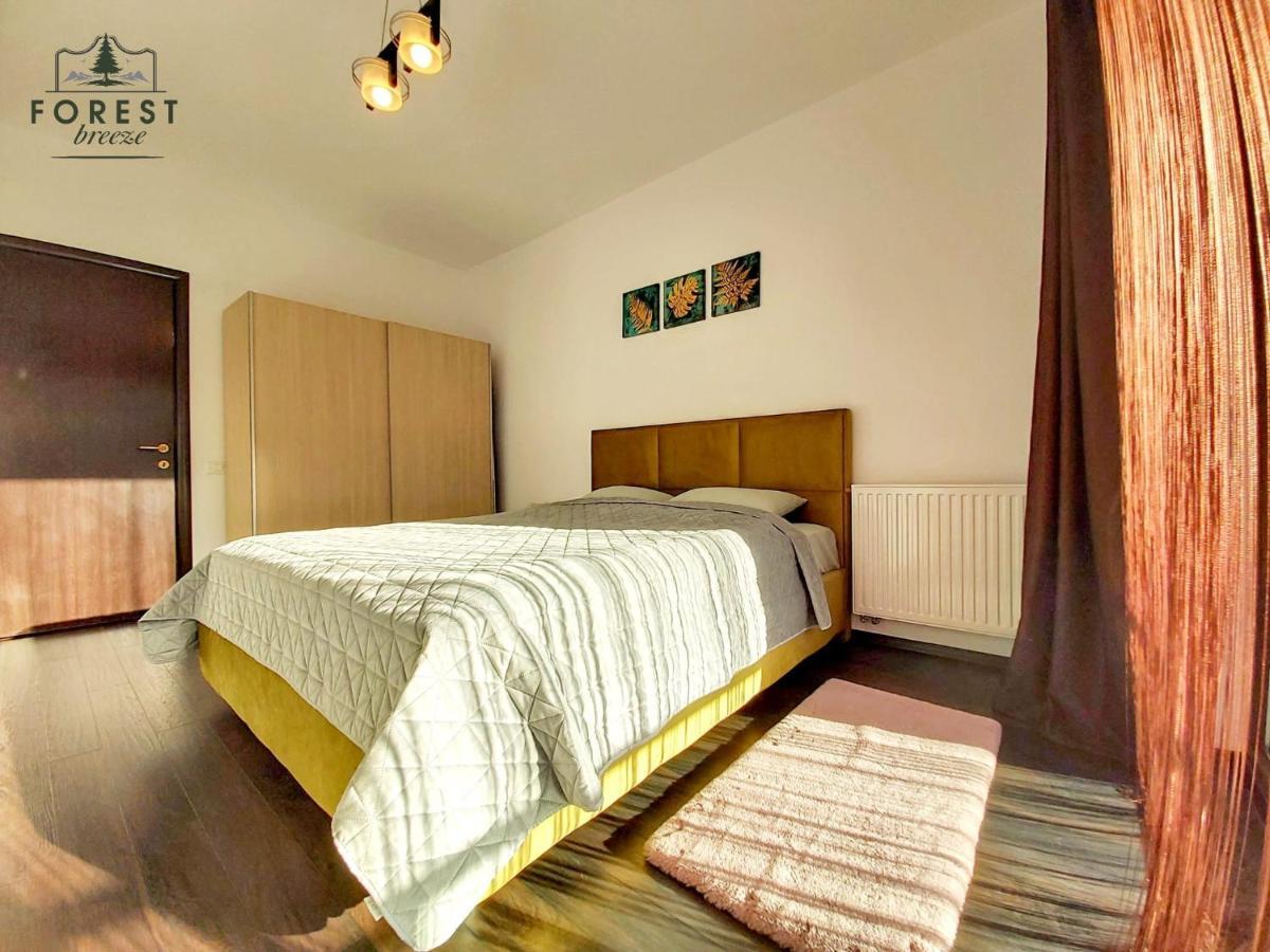 Forest Breeze Apartterrace Braşov Dış mekan fotoğraf
