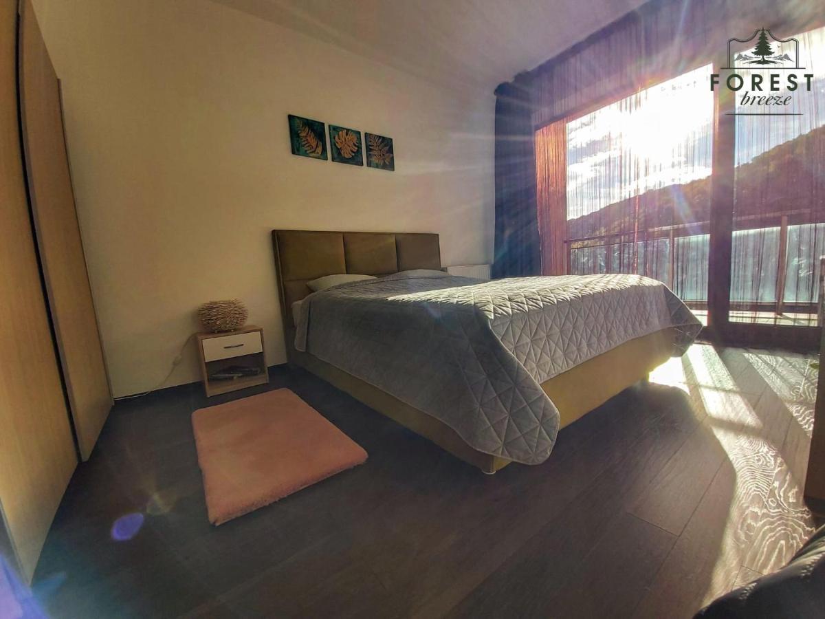 Forest Breeze Apartterrace Braşov Dış mekan fotoğraf