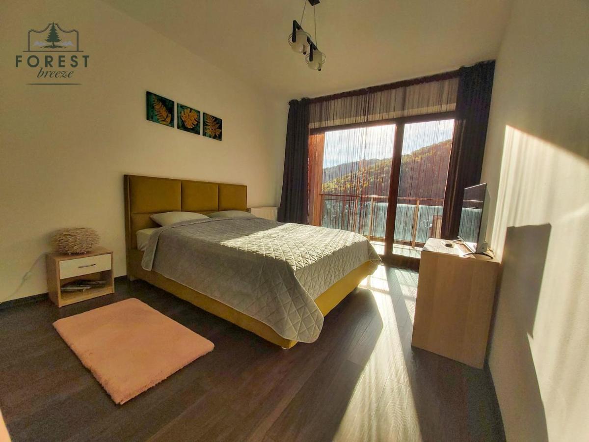 Forest Breeze Apartterrace Braşov Dış mekan fotoğraf