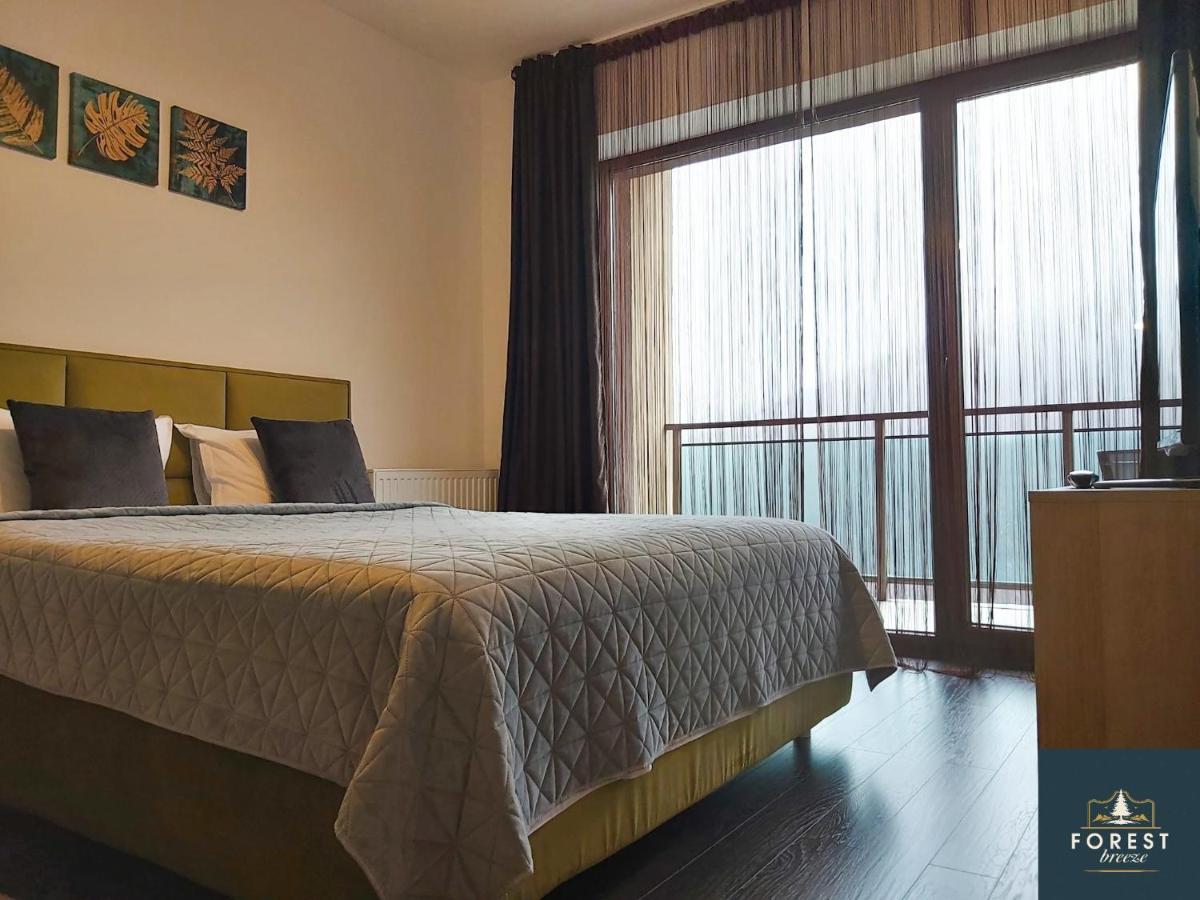 Forest Breeze Apartterrace Braşov Dış mekan fotoğraf